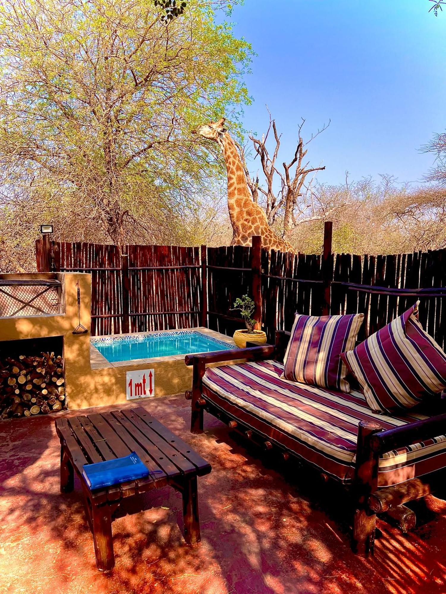 Manzini Chalets Marloth Park Kültér fotó